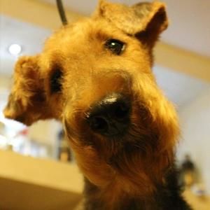 Meet your Posher, Calm